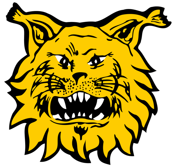 Ilves